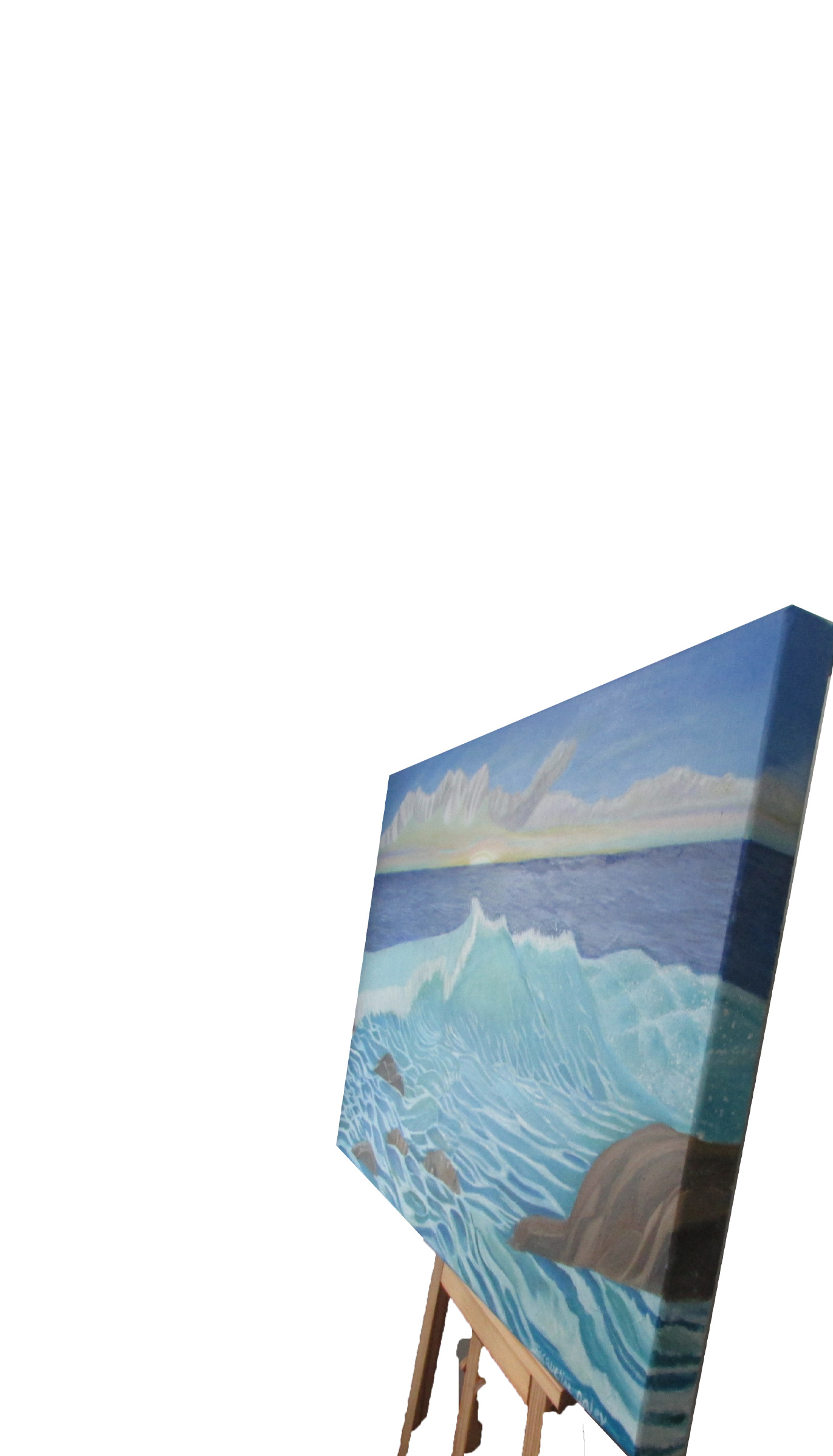 seascape Australia - Image 2