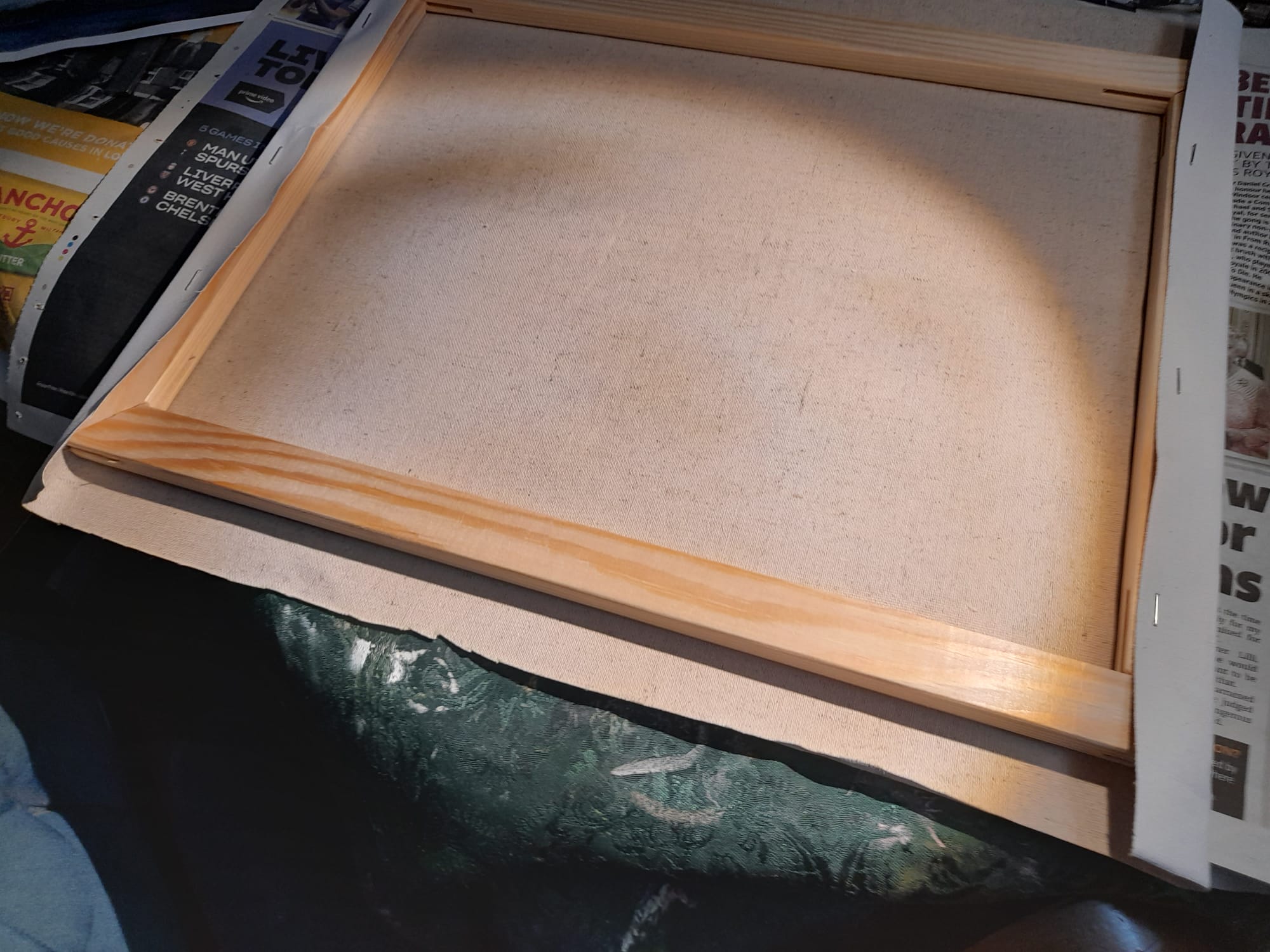 Canvas